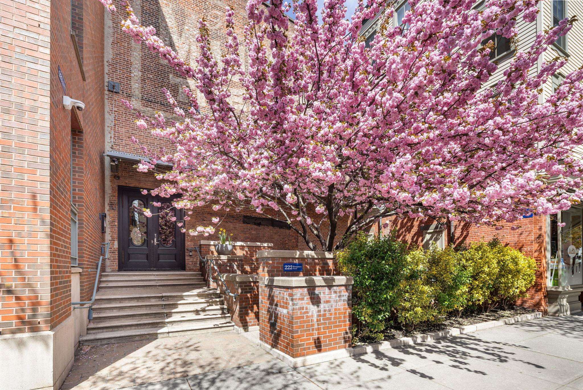 # 250007938 - For Rent in JERSEY CITY - Downtown NJ